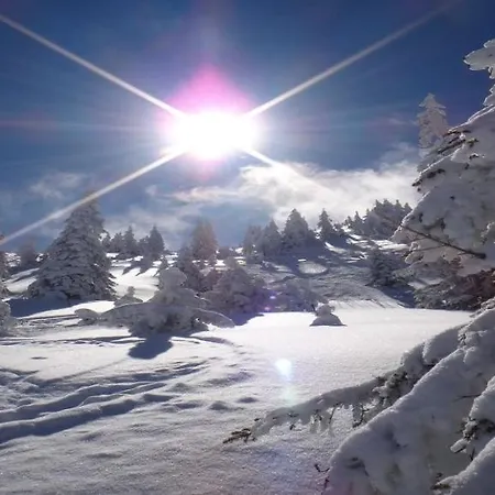 Haus Staudach 1 & 2 By Apartment Managers *