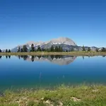 Holiday home Haus Staudach 1 & 2 By Apartment Managers Kitzbuhel