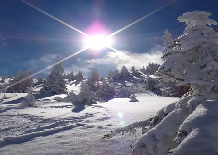 Haus Staudach 1 & 2 By Managers *